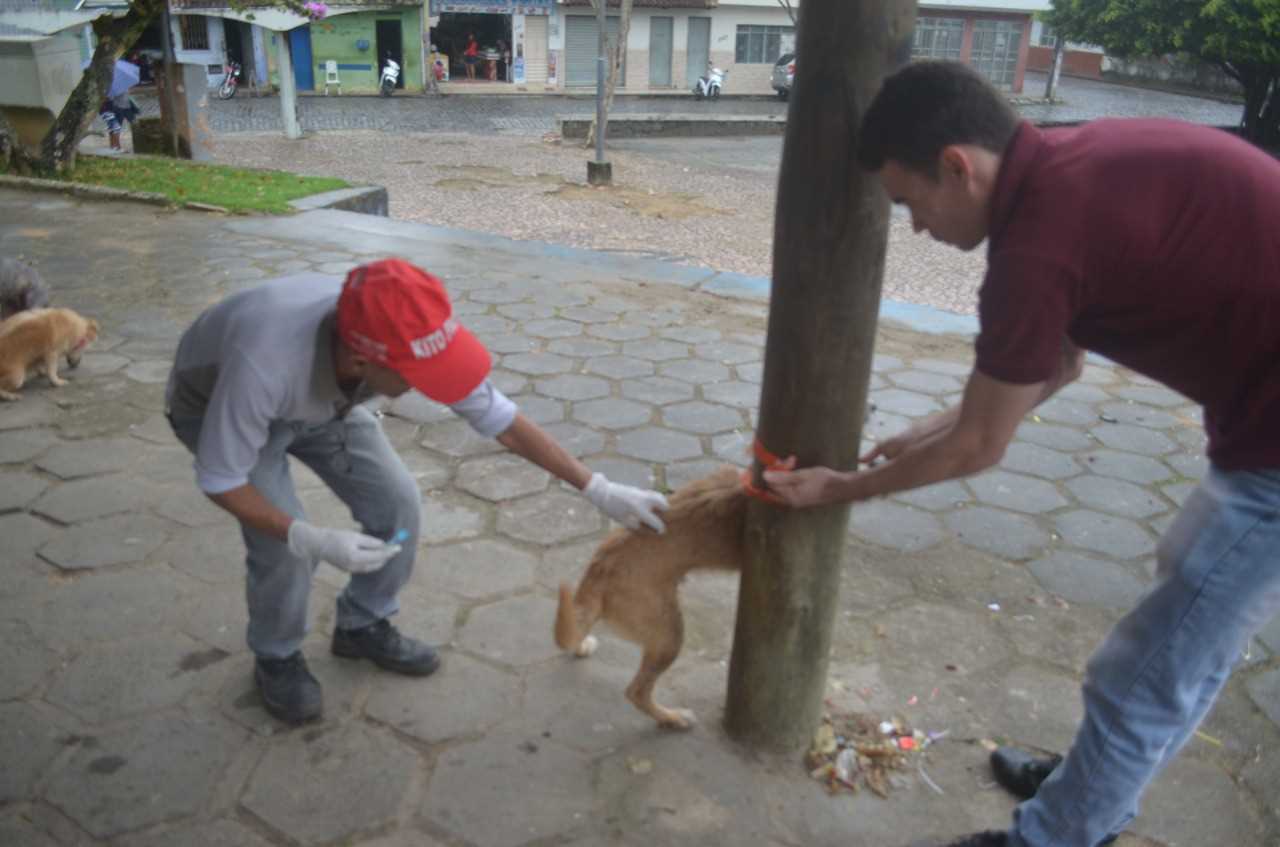 Vacinas